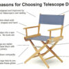 Telescope Casual Director Chair Collection